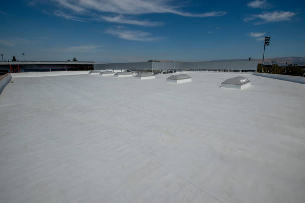 Best Cold Roofs  in Valdosta, GA