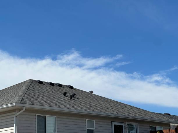 Asphalt Shingles Roofing in Valdosta, GA